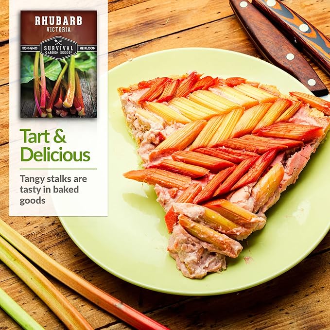 Survival Garden Seeds - Victoria Rhubarb Seed for Planting - 5 Packets with Instructions to Plant and Grow Cold-Tolerant Perennial Spring Vegetables in Your Home Garden - Non-GMO Heirloom Variety