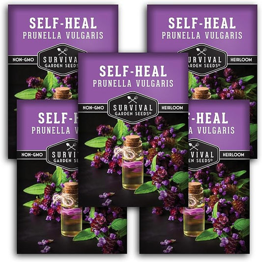Survival Garden Seeds Selfheal Seed for Planting - 5 Packs with Instructions to Plant & Grow All-Heal Perennial Herb Plants in Your Home Flower & Herb Garden - Non-GMO Heirloom Variety