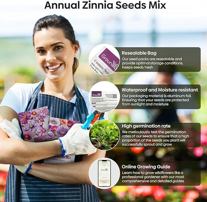 Zinnia Seeds Mix, 1 Oz, Over 3,000 Flowers Seeds, 5 Varieties Garden Seeds (Pink, Yellow, Orange, White, Purple), Mixed Colors and Large Blooms, Seeds for Planting, Open Pollinated - Bulk