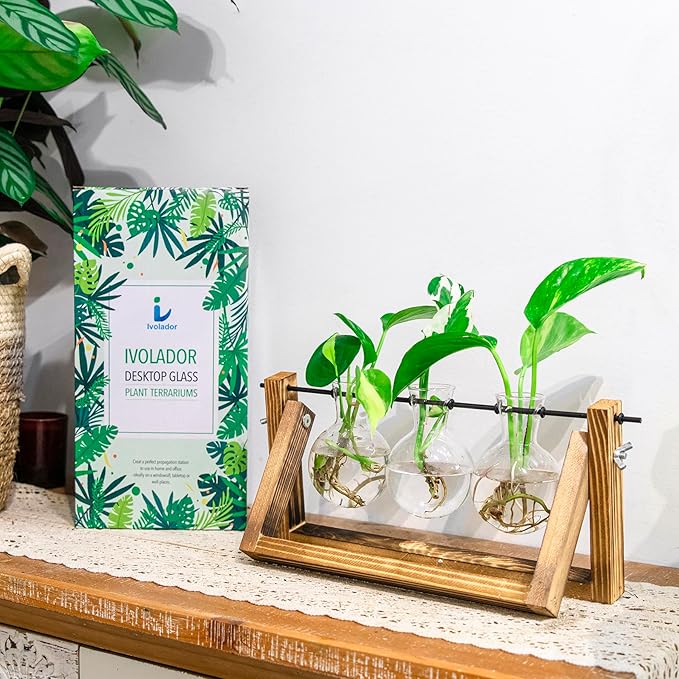 Ivolador Propagation Station, Plants Terrarium, Plants Lover Gifts for Women,Plant Cutting Holder Home décor,Gifts for Women,House Warming Gifts New Home for her