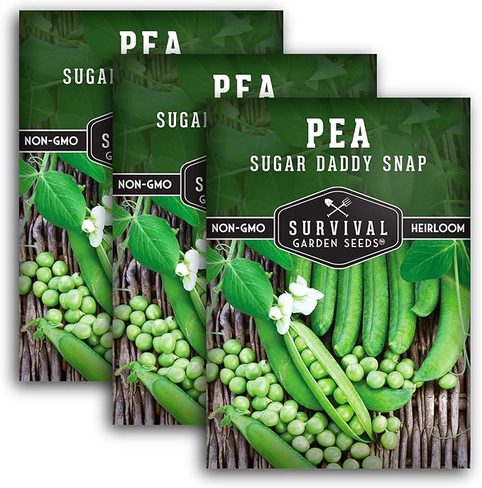 Survival Garden Seeds - Sugar Daddy Snap Pea Seed for Planting - 3 Packs with Instructions to Plant and Grow in Delicious Pea Pods Your Home Vegetable Garden - Non-GMO Heirloom Variety