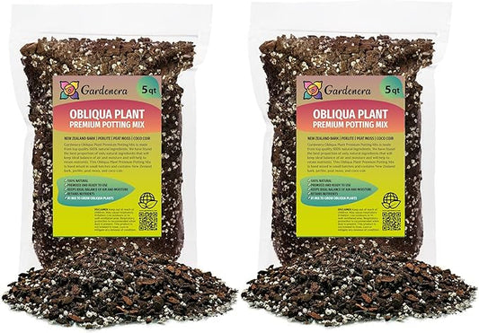 Monstera Obliqua Planting Mix - Promotes Steady Growth and Healthy Leaves - 10 Quart (2 Bags of 5 Quart)