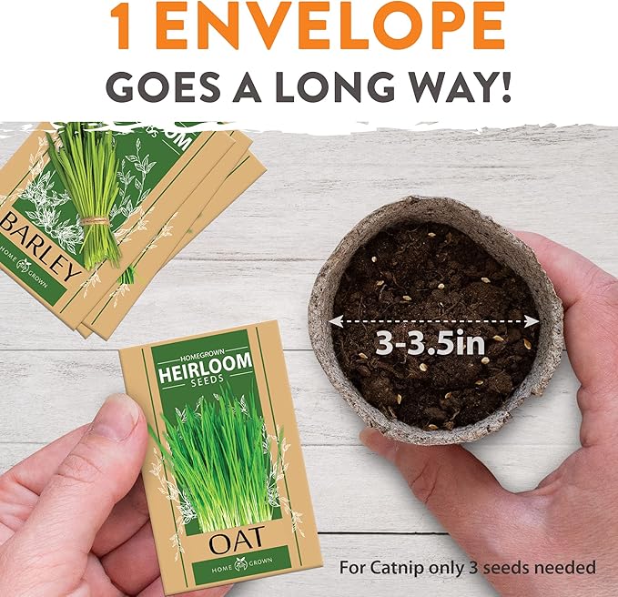 HOME GROWN Cat Grass Seeds - Grow Cat Grass for Indoor Cats - Cat Grass Seeds Bulk - Refill Cat Growing Grass Kit - Heirloom Cat Grass Seed (Cat Grass - 3pack)