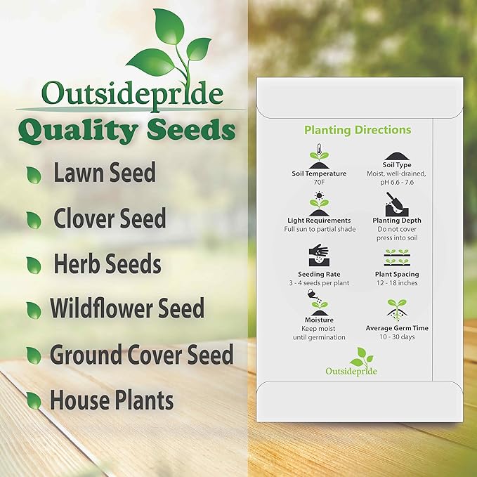 Outsidepride 100 Seeds Perennial Night & Day Scabiosa Pincushion Flower Seed Mix for Planting