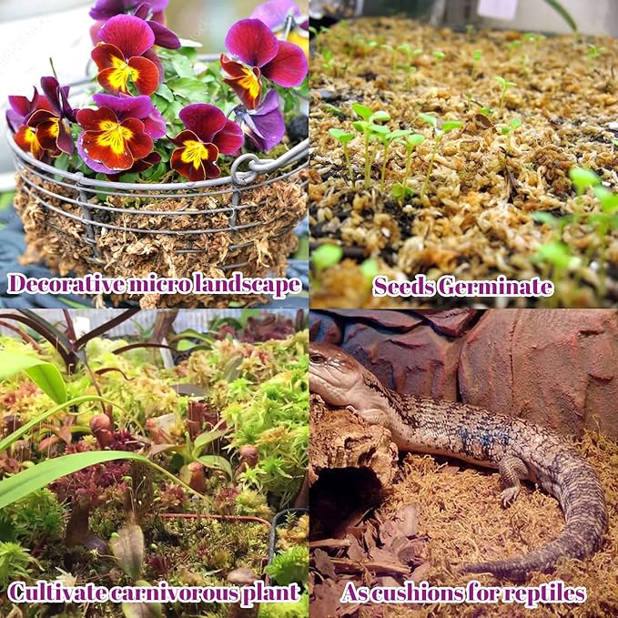 Legigo 5.3oz Premium Sphagnum Moss Potting Mix- Natural Succulent Carnivorous Plants Moss Dried, Plant Growing Medium for Orchid Succulent Sarracenia Orchid Gardening Plants Reptiles, 6 QT