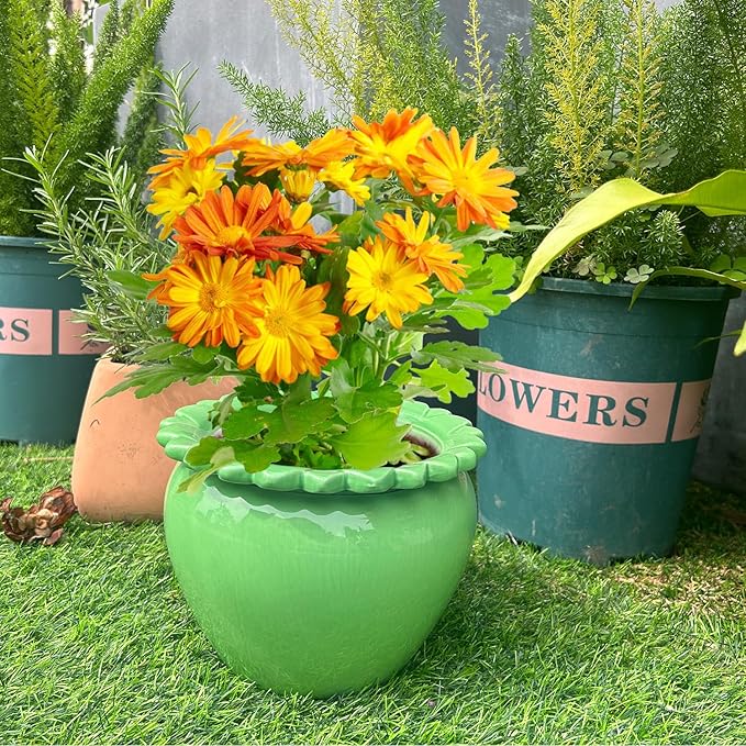 Large African Violet Pots Ceramic Planters for Indoor Plants 10.5in Self-Watering Terracotta Planter Green Dolomite Clay Morden Decor Ceramic Flower Pot for Home Office Decoration