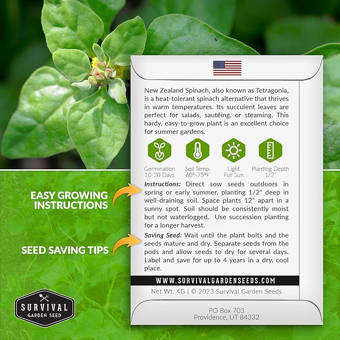 New Zealand Spinach Seed for Planting - 1 Packet with Instructions to Plant & Grow Tetragonia Tetragonoides in Your Home Vegetable Garden - Non-GMO Heirloom Variety - Survival Garden Seeds