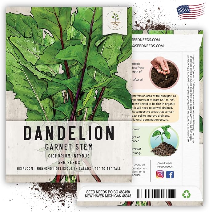Seed Needs Garnet Stem Dandelion Seeds for Planting - Non-GMO, Heirloom & Untreated Edible Herbs - Organically Grow Your own Food for Tortoises, Rabbits & Bearded Dragons (5 Packs)
