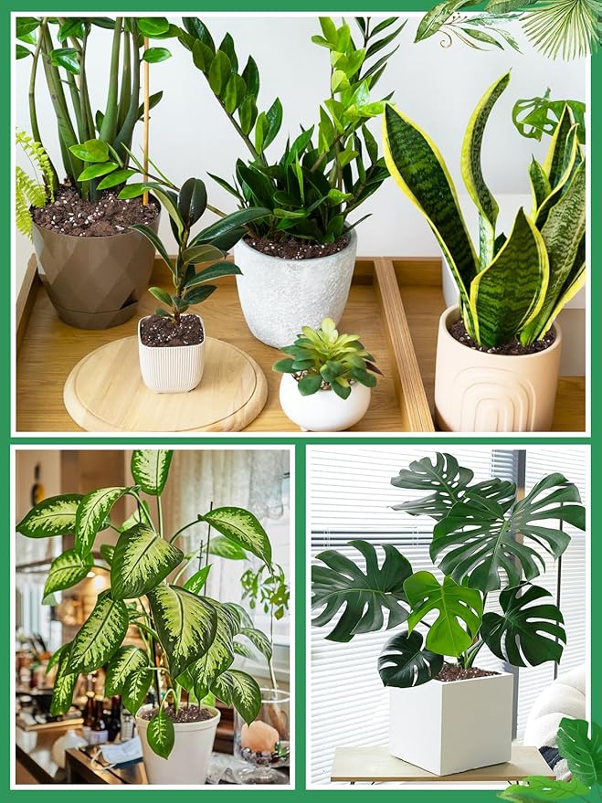 8 Quarts Monstera Soil Potting Mix - Natural Organic Tropical Plant Soil for Improving Growth Rate, Sustainable Houseplants Growing Media for Indoor Bonsai Succulents Moisture Retention Drainage