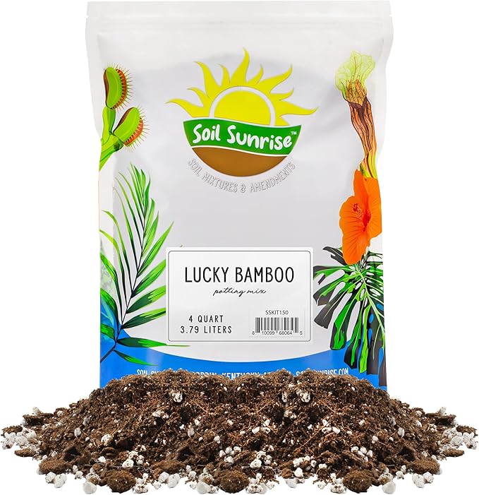 Lucky Bamboo Plant Potting Mix (4 Quarts), Custom Soil Mix for Repotting