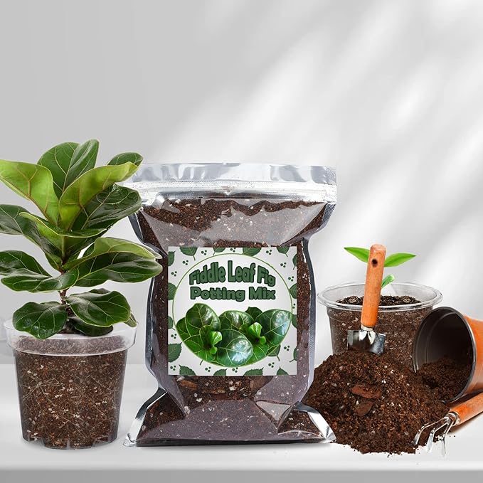 Organic Fiddle Leaf Fig Potting Mix 4qt, Indoor Plants Potting Mix for All Potted Ficus Lyrata Plant, Grow Healthy houseplants Indoors
