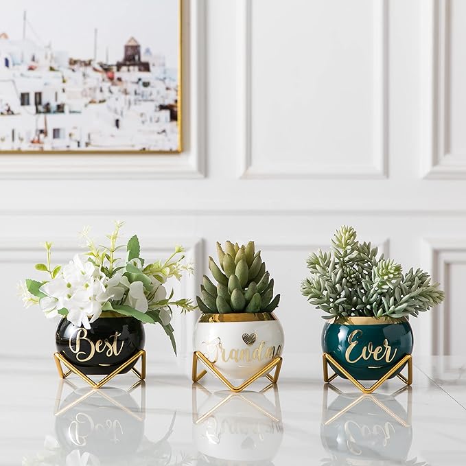 PeraBella Grandma Gifts, Gifts for Grandma Birthday Gifts, Thoughtful Gifts for Grandma, Grandmother Gifts Ideas - 3 Succulent Pots