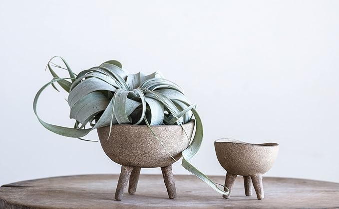 Creative Co-Op Boho Terracotta Footed Planter, Distressed Cream