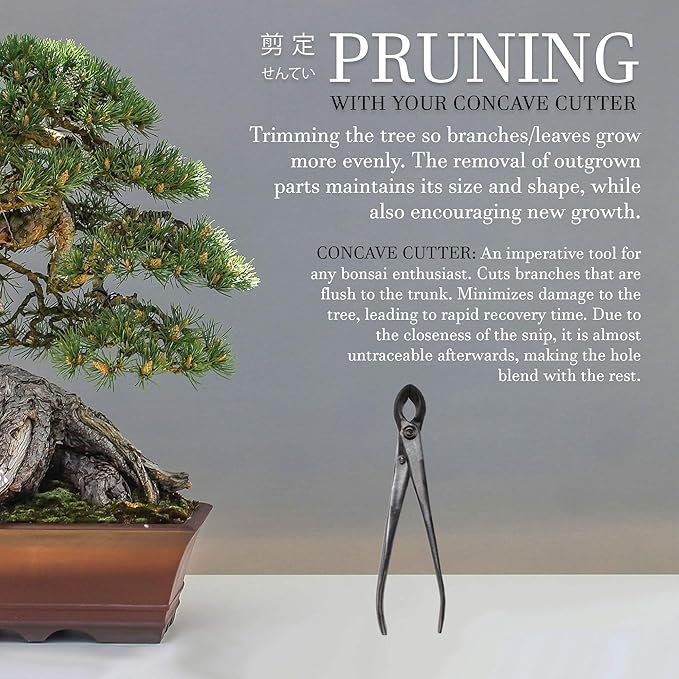 BambooMN Bonsai Tool Kit - 8" Concave Cutter & 8" Knob Cutter - 1 Set