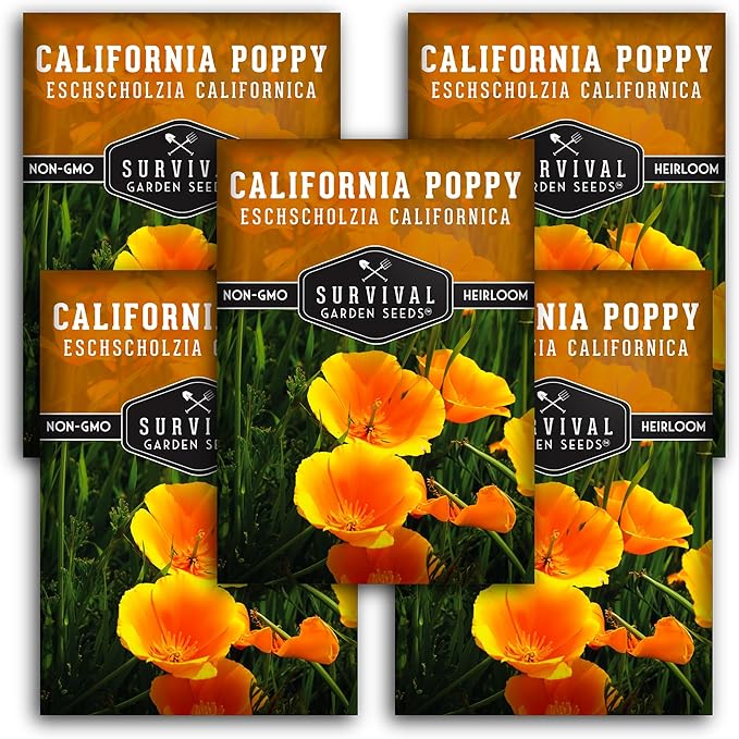 Survival Garden Seeds 5 Packets California Poppy for Planting - Seed Packs with Instructions to Grow Eschscholzia Californica Plants in Your Home Flower Garden - Non-GMO Heirloom Wildflower Variety