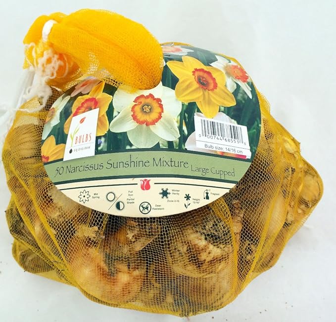 Sunshine Narcissus Mix 50 Bulbs- 14/16 cm Bulbs - Value Bag