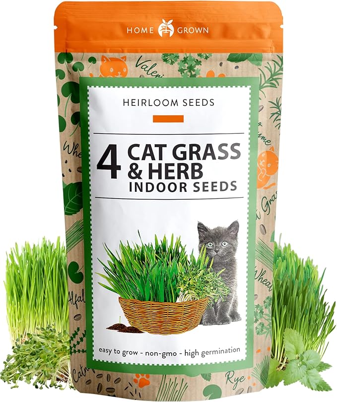 HOME GROWN 3200+ Cat Grass Seeds - Catnip Seeds, Alfalfa Seeds, Oat Seeds, and Oat & Barley Mix - Grow Cat Grass for Indoor Cats - Cat Grass Seeds Bulk - Refill Cat Growing Grass Kit