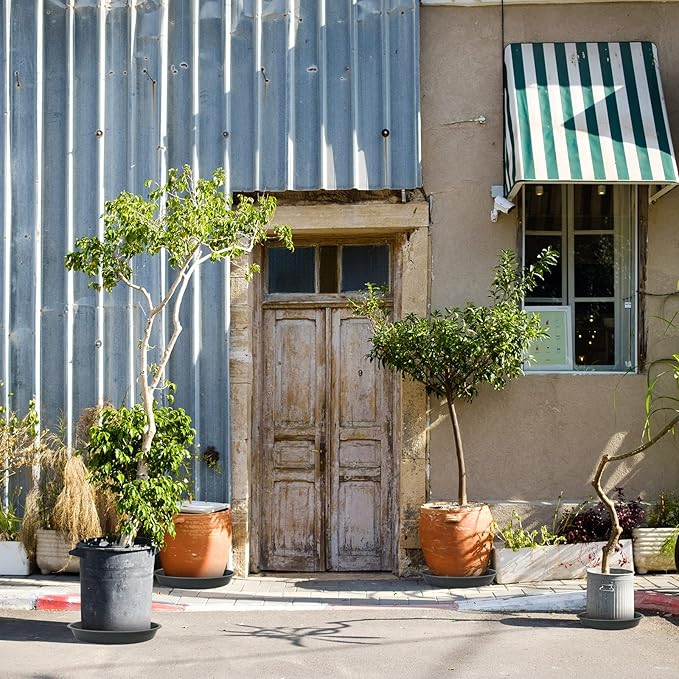 6 Pack Plant Saucer 12 14 16 18 20 22 Inch Plastic Plant Tray, Sturdy and Durable Flower Pot Container Accessories Plant Pot Saucers for Indoor and Outdoor (18 Inch, Gray)