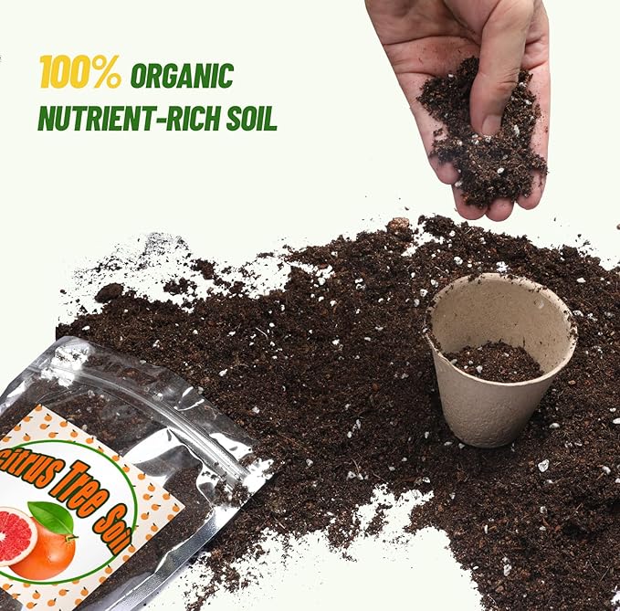 Citrus Tree Potting Soil Mix, Organic Loamy Potting Soil for Potted Lemon or Lime Tree, Special Blend for Indoor Oranges, Lemons, Limes and More