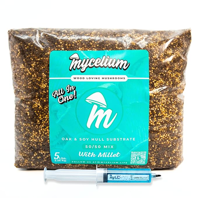 Mycelium’s White Oyster Gourmet Mushroom Kit | 5LBS Oak & Soy Hull with Millet Blend | 20ML Liquid Culture Syringe | All-in-One Complete Cultivation Kit | Pre-Sterilized - Home Growing Made Easy