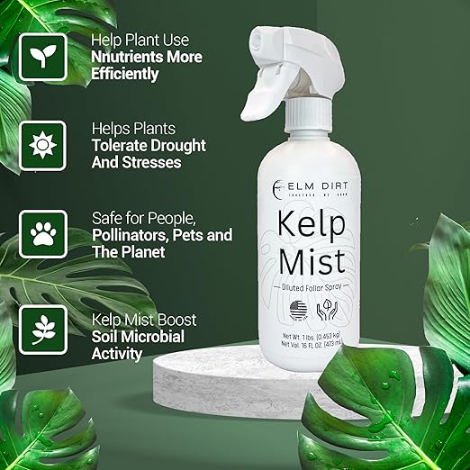 Elm Dirt Kelp Mist 100% Organic Plant Spray - Foliar Spray for Plants Food Indoor House Plants & Outdoor Plant food | Help Plant Nutrients Efficiently & Boost Soil Activity - Kelp Foliar Spray (16 oz)