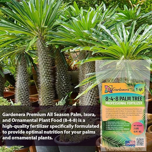 8-4-8 Fertilizer - Promote Vibrant Colors and Robust Growth in Palms, Ixora, and Ornamentals - 3 QUARTS