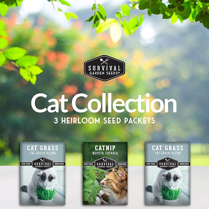 Survival Garden Seeds Cat Collection Seed Vault - Non-GMO Heirloom Seeds for Planting - Catnip and 2 Cat Grass Packets - Amazing Herbal Plants and Greens for Your Kitty's Health & Recreation