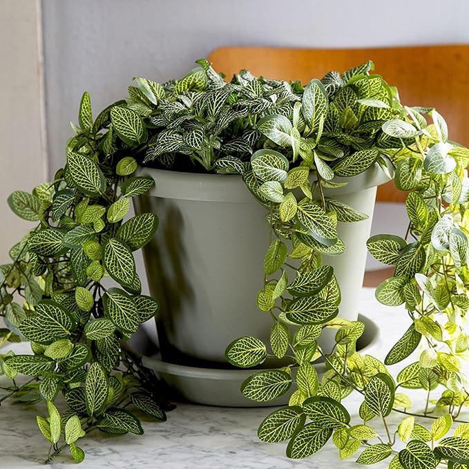 The HC Companies 14 Inch Round Classic Planter - Plastic Plant Pot for Indoor Outdoor Plants Flowers Herbs, Clay Color