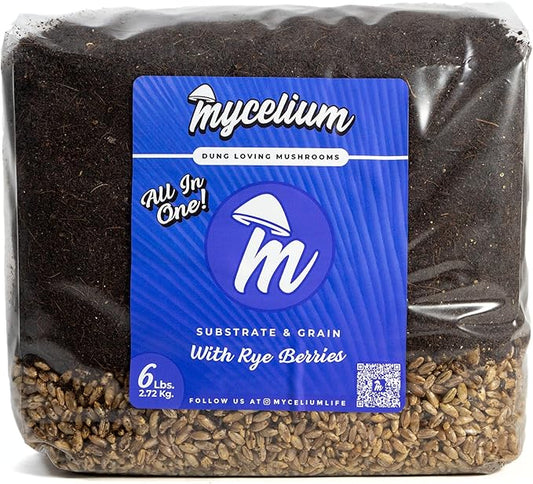 Mycelium's Superior Dung-Loving Mushroom Substrate & Rye Berries Grain 6 LB All-in-One Bag – Organic Coco Coir, Vermiculite & Gypsum Formula, Pre-Sterilized & Ready for Easy Home Cultivation