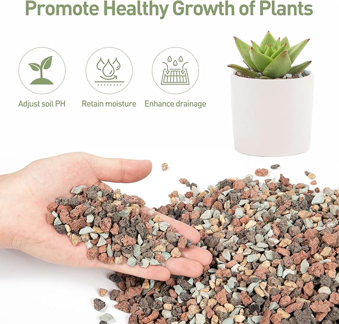GASPRO 5lbs Lava Rocks for Plants, 1/5 Inch Pea Gravel for Succulent, Pots Indoor, Terrarium, Cactus, Bamboo, Bonsai Tree, Top-Dressing, Mixed Color Volcanic Rocks, Good Drainage