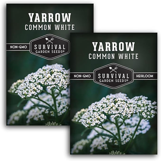Survival Garden Seeds White Yarrow Seeds for Planting - 2 Packets with Instructions to Plant & Grow Beneficial Flowering Herbs in Your Home Vegetable Garden - Non-GMO Heirloom Variety