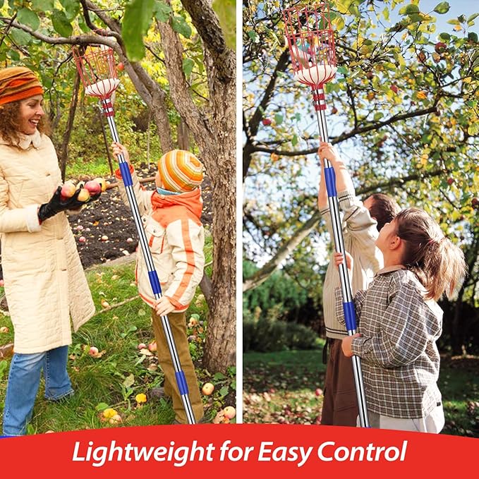 Fruit Picker Pole with Basket - Apple Picker Long Handle Telescoping, 5.5 FT Stainless Steel Fruit Picking Pole Extendable Fruit Catcher Tool for Avocado, Apricot, Pear, Orange, Mango Trees Picking