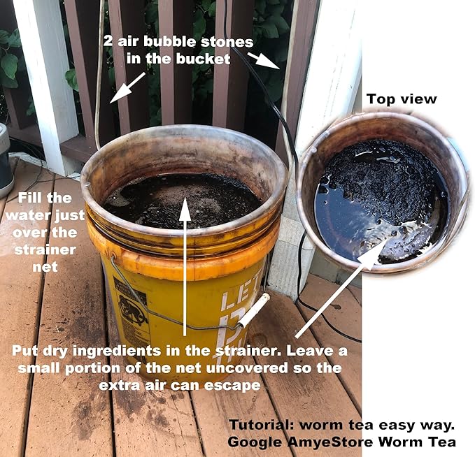 2025 EarlyBird-Pepper Seeds for Planting, Green and Red Bell Pepper Seeds, Non-GMO Heirloom Seeds Vegetable Seeds for Home Vegetable Garden and Hydronic Pods.USA (50ct Jalapeno Hot Pepper Seeds)