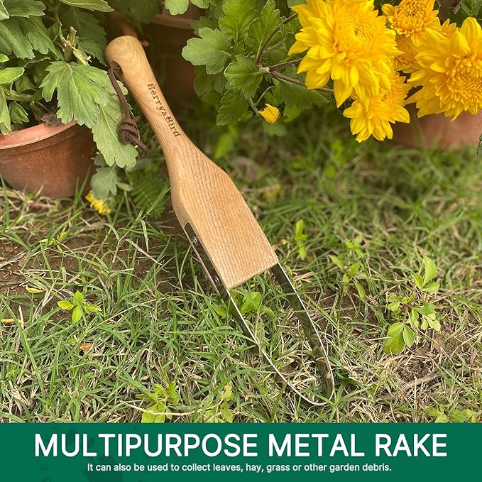 Berry&Bird Loop Weeder, 12.6-Inch Gardening Weed Cutter/Remover, Garden Weeding Scraper Tool with Wood Handle for Gardening, Lawn, Yard Work