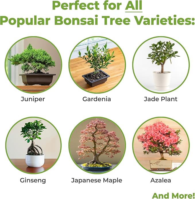 Bonsai Soil by Perfect Plants - 8qts. Premium All-Purpose Mix | Perfect for Several Bonsai Tree Plants | Made in Small Batches in The USA