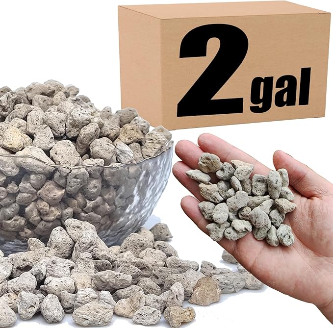 Organic Pumice for Bonsai and Horticultural 100% Natural (2 gallons, 1/2 inch)