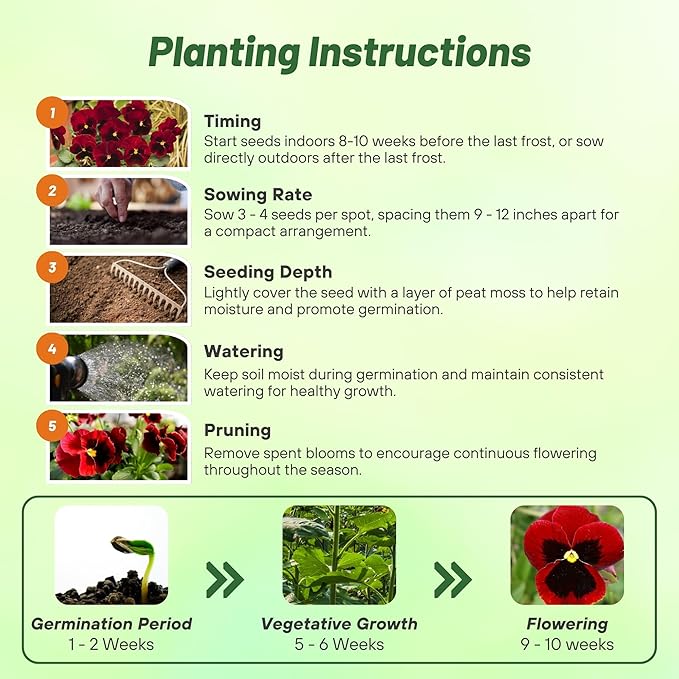 Outsidepride 1000 Seeds Viola Pansy Red Alpenglow Flower Seeds for Planting