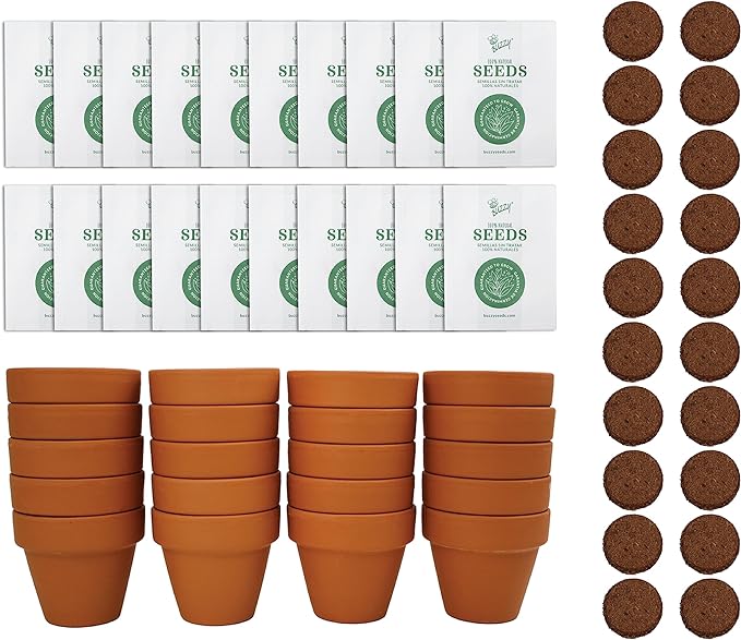 Buzzy Seeds Terracotta Mini Grow Pots | Herb, Plant, Flower Starter Kit for Kids & Adults | Assorted 20-Pack, | Lavender Seeds Guaranteed to Grow | Best Indoor Grow Your Own Plant Gardening Gift
