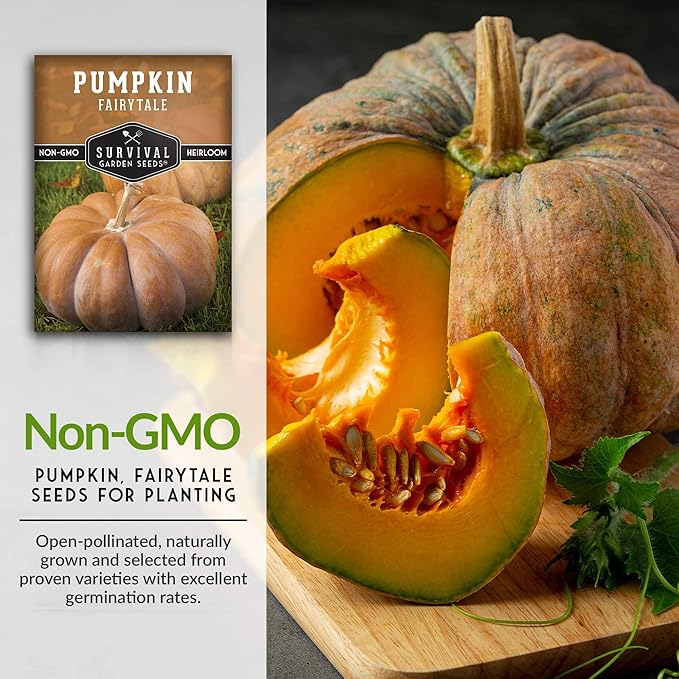 Survival Garden Seeds - Fairy Tale Pumpkin Seed for Planting - 5 Packs with Instructions to Plant and Grow Pumpkins in Your Home Vegetable Garden - Non-GMO Heirloom Variety
