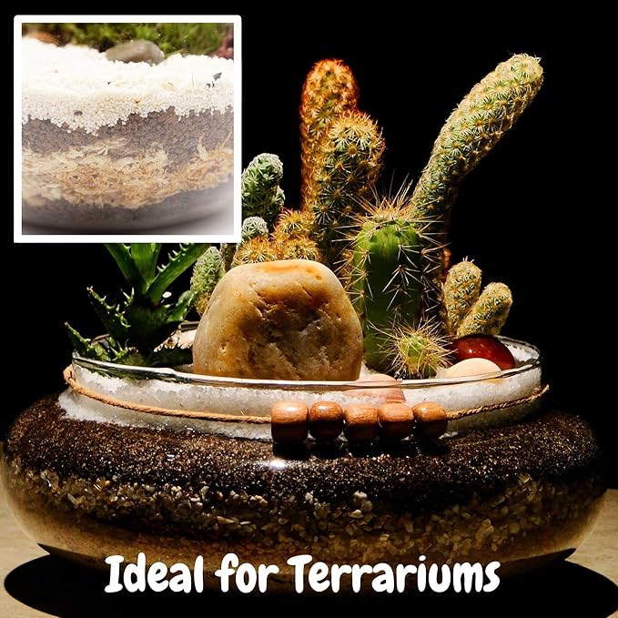 Long Fibered Sphagnum Peat Moss (4 Quarts), All Natural Dried Moss for Orchids, Carnivorous Plants, Decorating, Terrariums