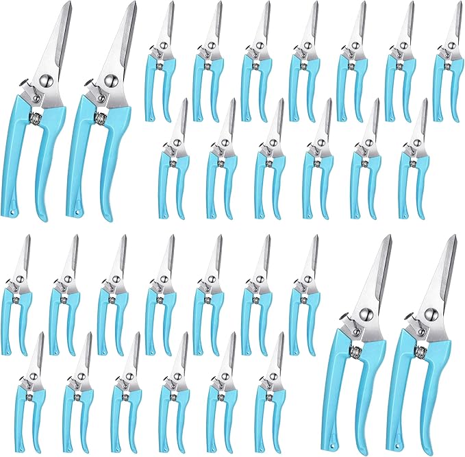 Chumia 30 Pcs Garden Flower Shears Pruning Scissors Heavy Duty Plant Scissors Trimming Garden Clippers Hand Tree Pruner for Yard Gardening Plants Hedge Flower Tree Cutting Secateurs (Blue)