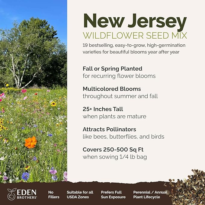 Eden Brothers New Jersey Wildflower Mixed Seeds for Planting, 1/4 lb, 120,000+ Seeds with Cornflower, Coneflower | Attracts Pollinators, Plant in Spring or Fall, Zones