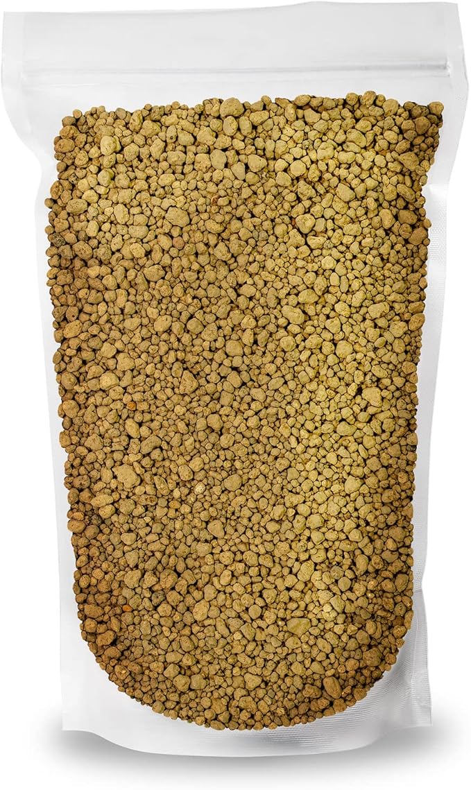 Japanese Hyuga Pumice - Premium Additive for Orchid & Bonsai Tree Soil |Professional Imported Sifted and Ready to Use (4 Quart Bag)