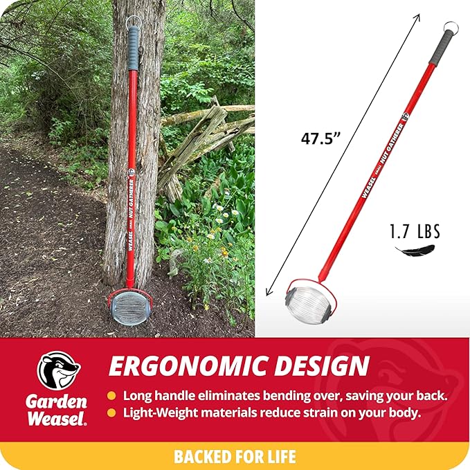 Garden Weasel Nut Gatherer - Small Cage | Pick Up Small Acorns, Buckeyes, Beech Nuts | Nut Collector and Picker Upper Roller | 95334