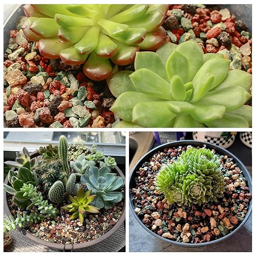 11 Pounds Mix Horticultural Lava Rocks, 3-6 mm Lava Rocks for Plants, Bonsai Rocks Horticultural Grit Soil Cover Gravel for Succulents and Hydroponics, Fairy Gardening, Top Dressing, Plant Drainage