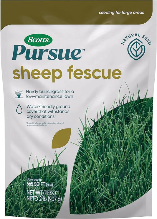 Scotts Pursue Sheep Fescue with Natural Seed, Seeding for Large Areas, 2 lbs.
