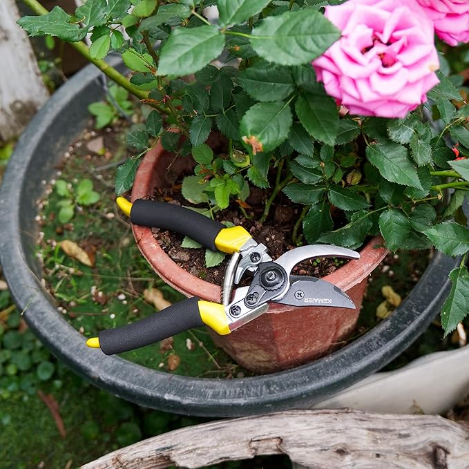 Heavy-Duty Handheld Garden Shears - Versatile Pruning Tools for Gardening, Tree Pruning, Flower Care, Hedge Maintenance, Plant Branch Cutting, and Pruner Holster