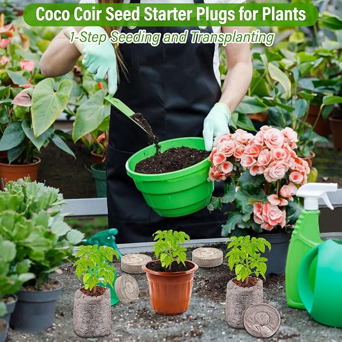 Legigo 50 PCS Coco Coir Seed Starter Plugs, 35mm Coconut Coir Pellets Seed Starter Soil for Plants, Compressed Seedling Starter Pods Pellets Seed Sprouted Potting Soil for Flowers, Herbs, Vegetables