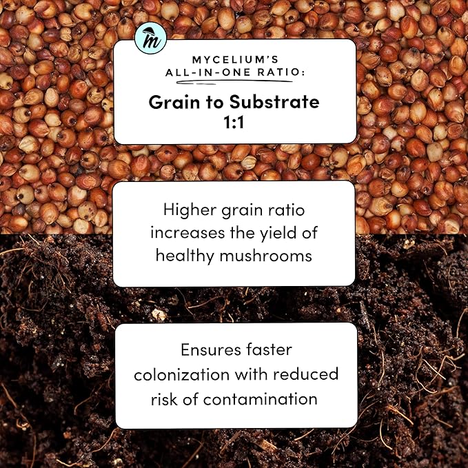 Mycelium's Superior Dung-Loving Mushroom Substrate & Milo Grain 3 LB All-in-One Bag – Organic Coco Coir, Vermiculite & Gypsum Formula, Pre-Sterilized & Ready for Easy Home Cultivation