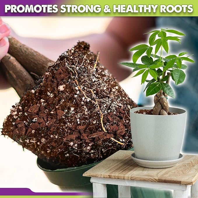 DUSPRO Recycle Money Tree Soil, Premium Coco Coir Perlite Mix and Pine Bark for Money Tree Soil, Ideal Money Tree Soil for Healthy Growth and Nourishment (6 Quarts)